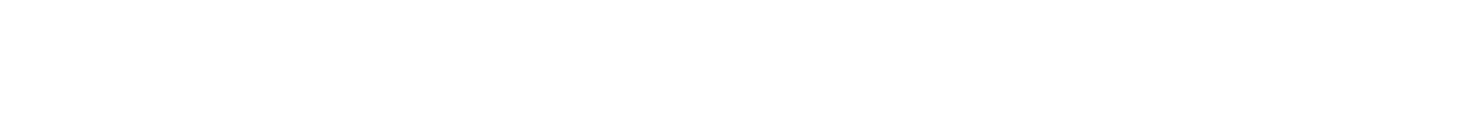 STEELHAUS wordmark
